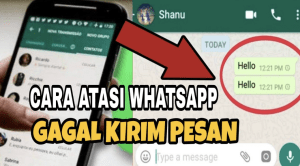 Kenapa Whatsapp tidak bisa mengirim Pesan dan menerima Pesan